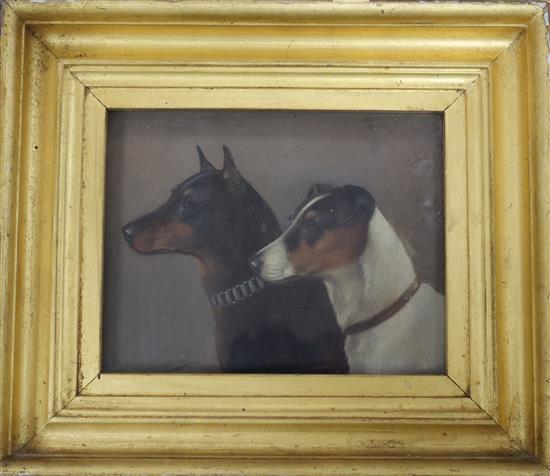 Walter Herbert Wheeler (1878-1950), oil on board, Manchester Terrier and Fox Terrier, signed, gilt frame,